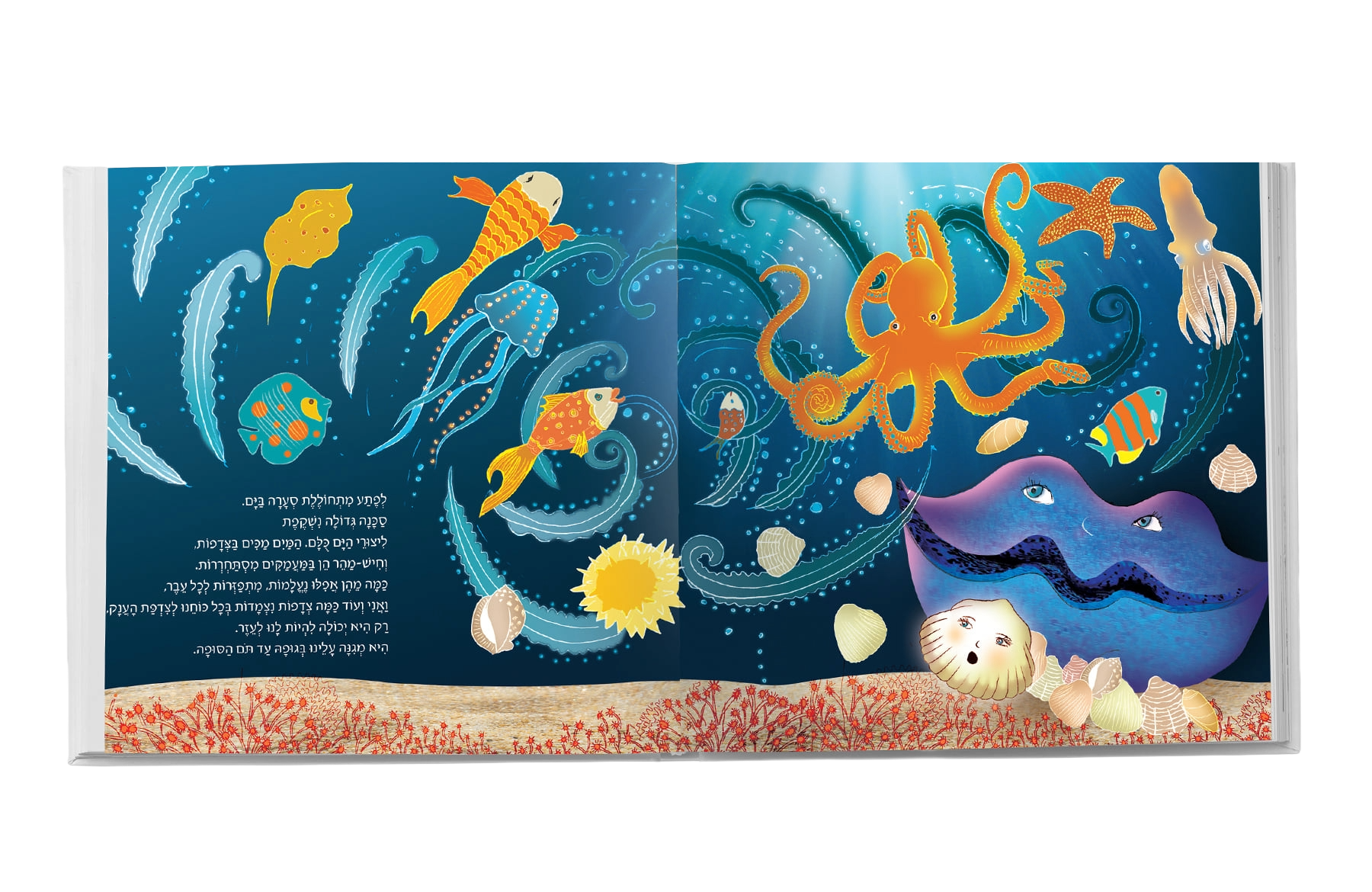 תקציר הספר סודה של צדפה